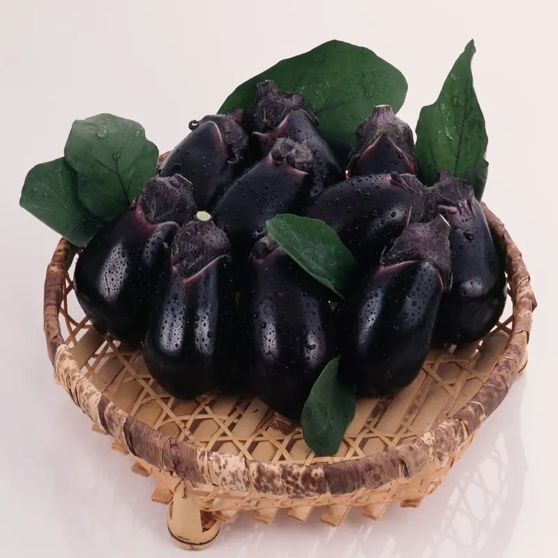 泉州特選 水なす浅漬け 6個【035D-007】