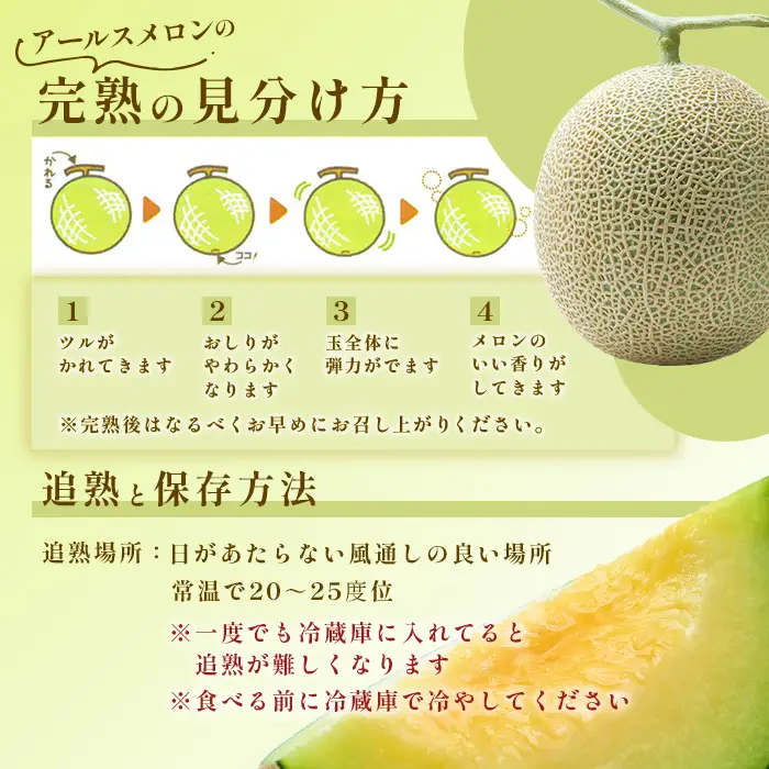 015 アールスメロン 秀品 約8kg 3～5玉 茨城県 JA水戸産 めろん 果物