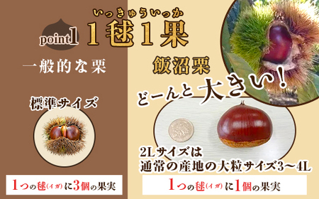 n*p様 高級　飯沼栗　10kg　2L 楽天市場】【ふるさと納税】飯沼栗 くり 高級 栗 数量限定 フルーツ