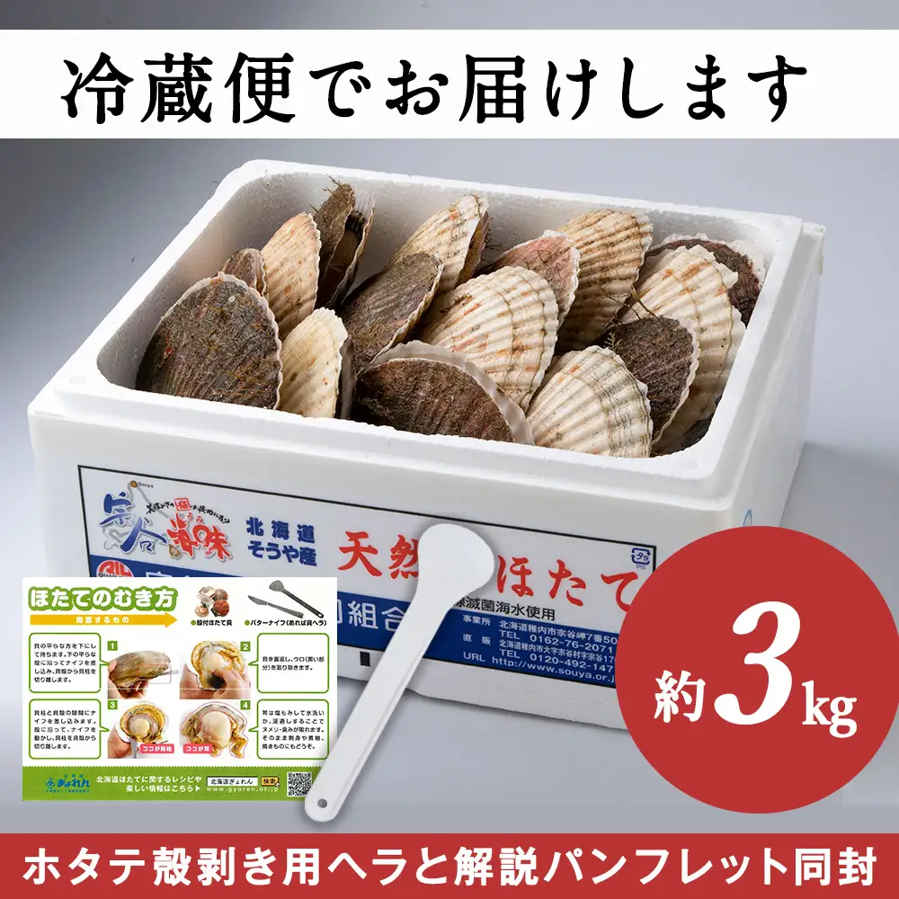 【先行受付】宗谷漁協発!産地直送!活ほたて約3kg(13～15枚入)刺身 海鮮【配送不可地域：離島・沖縄県】