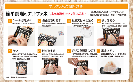 米 災害 備蓄ごはん おにぎり12個セット アルファ米 ごはん 大崎市 尾西食品