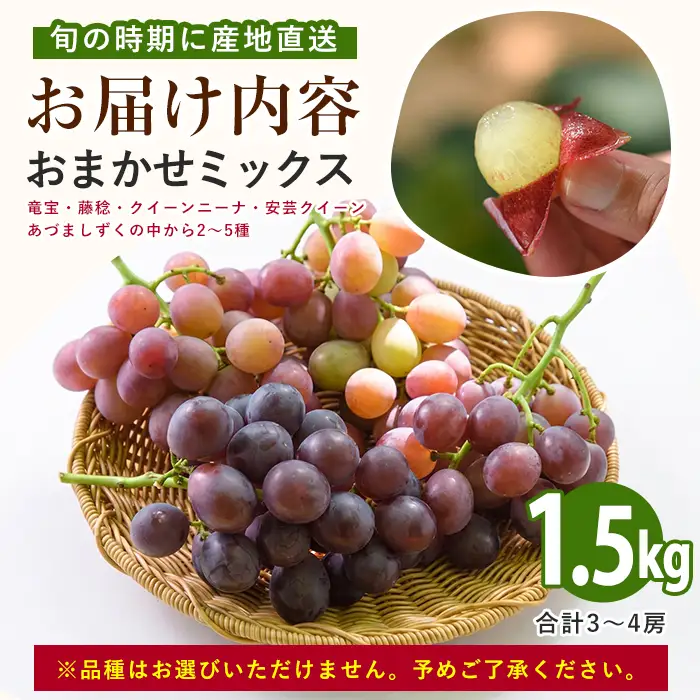 2026年7月上旬～順次発送 迫田果樹園のぶどう 指宿産ぶどうのおまかせミックスセット約1.5kg 迫田果樹園 IB064-002 ぶどう ぶどう