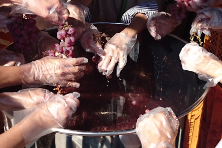 南アルプス天空舎の甲州ぶどうを赤ワインのごとく果皮ごと醸すオレンジワイン天空甲州（南アルプス上宮地産甲州ぶどう使用) ALPAB021