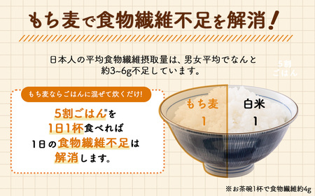 国産もち麦6kg《1kg×6個セット》雑穀 お米に混ぜて炊くだけ！便利なチャック付 小分けパック ダイエット 食物繊維  送料無料 No.029
