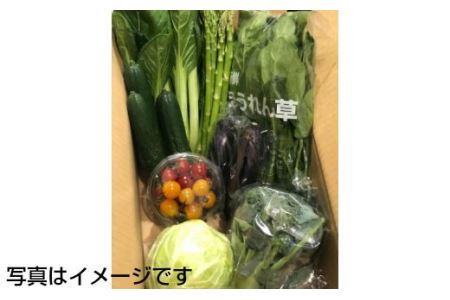 イーハトーヴ野菜A お試しセット 6品～【029】