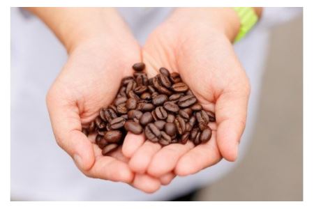 【思いやり型返礼品】自家焙煎「花巻銀河珈琲」コーヒー豆（100ｇ）7袋セット 【277】
