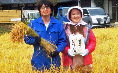 【3ヶ月定期便】減農薬栽培 ひとめぼれ玄米5kg【1108】
