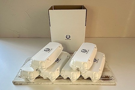 【北海道根室産】美波里のたまご10個入×6P(計60個) F-39001