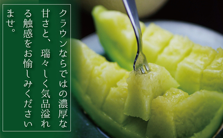 【12ヶ月定期便】クラウンメロン　規格外特大玉（約1.7kg）2玉入 果物類 メロン青肉 