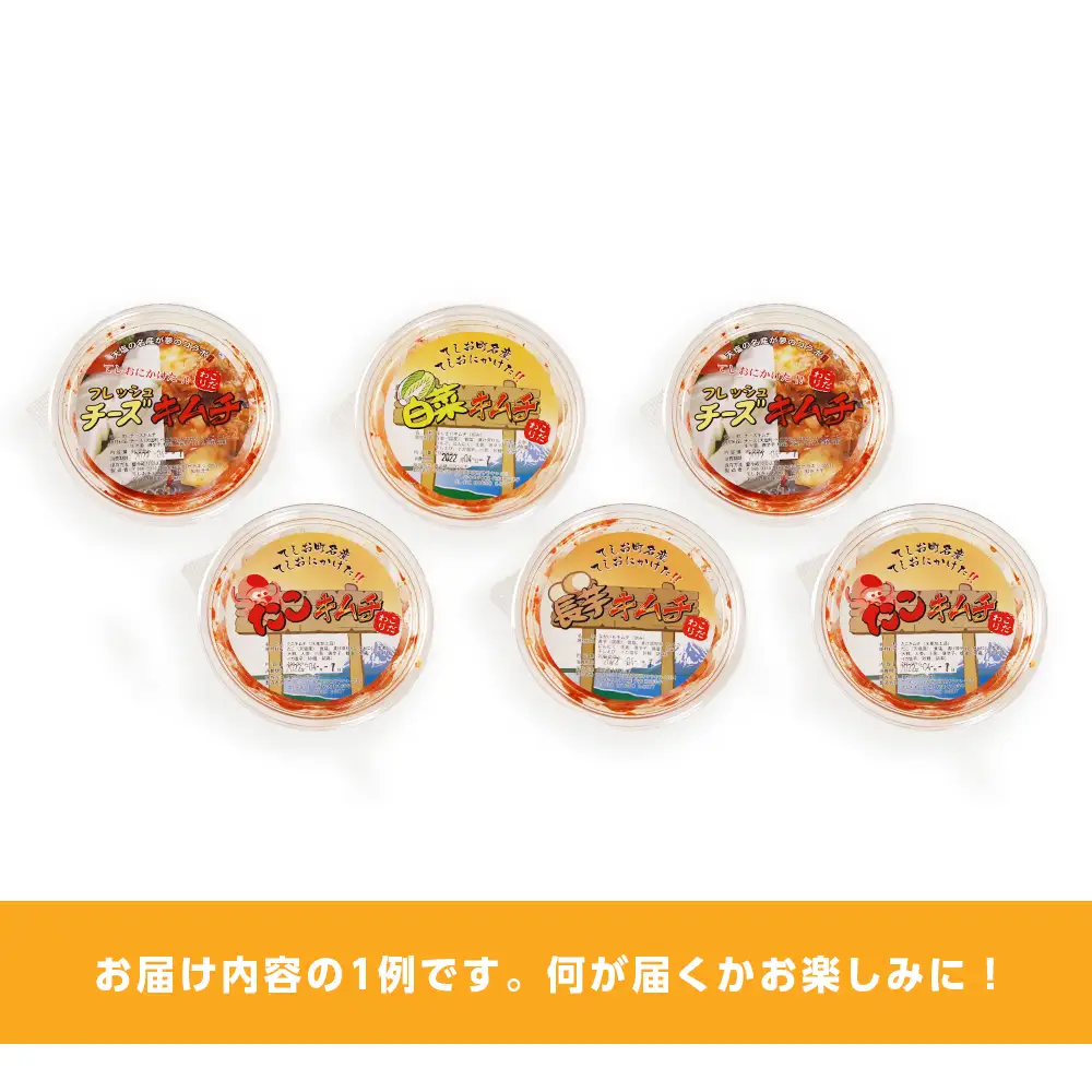 てしおキムチ工房・キムチおまかせランダム6個セット  ＜天塩の國＞