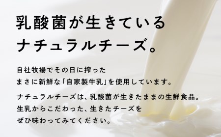 べこちちFACTORY★モッツァレラチーズセット