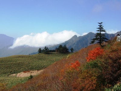 【4月中旬～11月上旬までの限定宿泊】山荘しらさ　ペア宿泊券