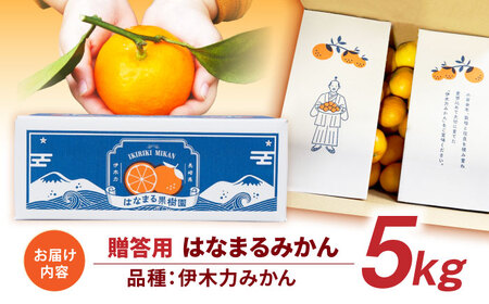 ※【2026年11月下旬より順次発送／先行予約】伊木力みかん「はなまるみかん」(贈答用) 5kg / 伊木力みかん みかん 蜜柑 ミカン 柑橘 果物 フルーツ / 諫早市 / 株式会社山野果樹園 [AHCF003]