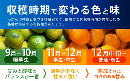 ※【2026年10月下旬より順次発送／先行予約】伊木力みかん(家庭用) 10kg / みかん ミカン 蜜柑 オレンジ フルーツ 果物 柑橘 / 諫早市 / 山野果樹園 [AHCF001]