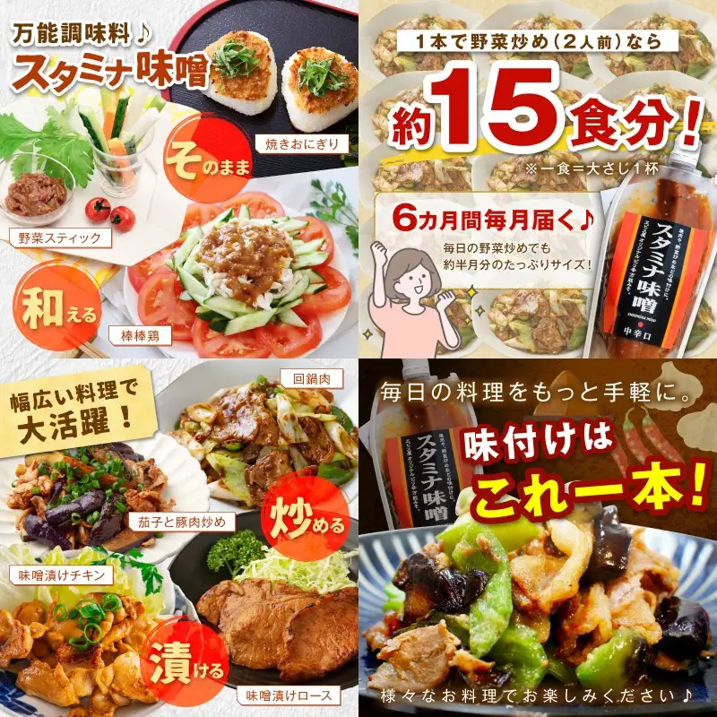 味付け簡単！特製味噌ダレ「スタミナ味噌」【6カ月定期便】【A5-246】