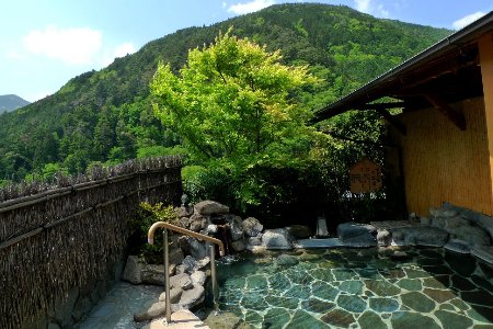 下呂温泉 【水鳳園】宿泊補助券(90,000円分）【a012-3】