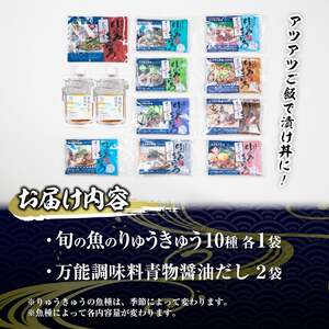 大将の今日のおすすめ！「旬の鮮魚りゅうきゅう10選と青物だし2個セット」詰め合わせ 魚 海鮮 簡単 りゅうきゅう 漬け丼 お茶漬け だし茶漬け 醤油 調味料 加工品 【GA001】【ポートラインサービス (有)】