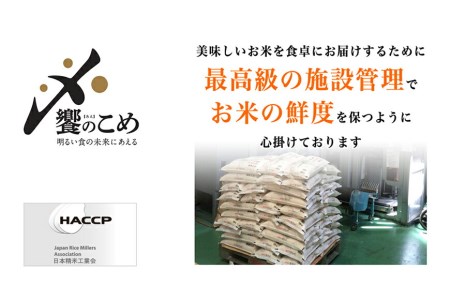 【期間限定発送】 米 令和7年 2kg ×4種 計 8kg 精米 食べ比べ [中橋商事 石川県 宝達志水町 38601091]