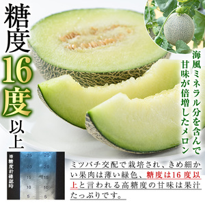 ＜先行予約受付中！2026年6月中旬以降順次発送予定＞数量限定！鹿児島県産南国グリーンメロン(2Lサイズ×2個) メロン フルーツ 果物 鹿児島 国産 青肉 ハウス ハウス栽培 期間限定 2L【東新グリーンファーム合同会社】akn062-08