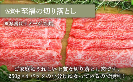 手ごねハンバーグ 4個＆佐賀牛 切り落とし 1000g（250g×4パック）/ ハンバーグ 牛肉切り落とし [IAH131]