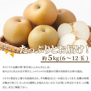 DS-16　新甘泉梨 5kg（赤秀限定）