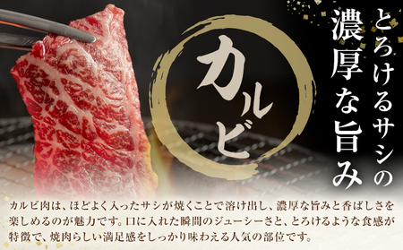 生産者直送！GI認証　くまもとあか牛焼き肉用 300g 150g×2パック 山の里《60日以内に出荷予定(土日祝除く)》熊本県 産山村 焼き肉 焼肉 BBQ GI認証 くまもとあか牛 赤身 和牛 牛肉 牛 国産 あか牛 ギフト 詰め合わせ 贈り物 お中元 お歳暮 【配送不可地域あり】