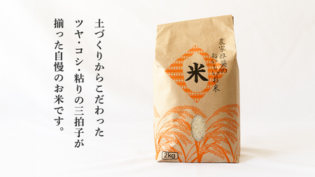 たまごかけご飯セット [BT002sa]
