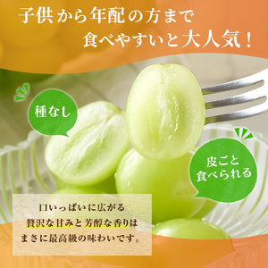 特産 シャインマスカット JA信州うえだ 大房 2房 約1.1kg マスカット 葡萄 ぶどう ブドウ 果物 くだもの フルーツ 信州 長野
