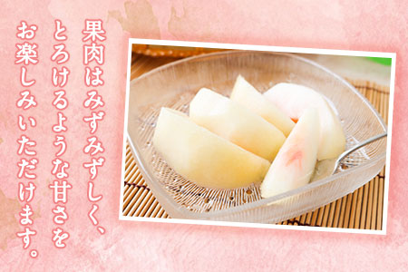【2026年 先行予約】六月のはなよめ 約1.8～2kg 熊本県荒尾市産 桃 髙口果樹園 【日付指定不可】《2026年6月上旬-6月下旬頃出荷》六月の花嫁