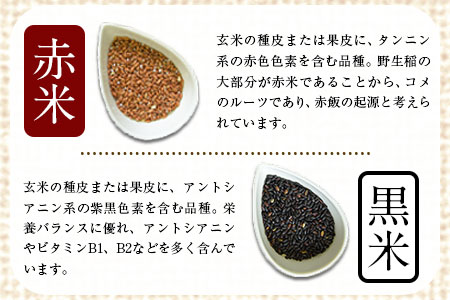  雑穀米 (赤米/黒米/緑米) ブレンド 熊本県荒尾市産 つゆくさ農園 《30日以内に出荷予定(土日祝除く)》 