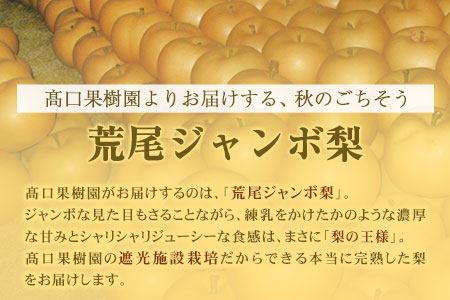  【2026年 先行予約】梨 新高 ジャンボ梨 ( 新高梨 )  約 3kg (3～6玉前後) なし 荒尾梨 にいたか フルーツ 果物 デザート 旬 熊本県荒尾市産 髙口果樹園《2026年10月上旬-11月末頃出荷》  美味しい梨 旬の梨 ジューシー梨 フルーツ梨