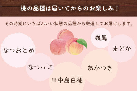 【2026年 先行予約】 桃 季節のおすすめ 約1.8kg～2kg もも フルーツ 果物 白桃 あかつき なつおとめ まどか 瑞鳳 なつっこ 川中島白桃 熊本県荒尾市産 桃 髙口果樹園《2026年7月上旬-8月末頃出荷》