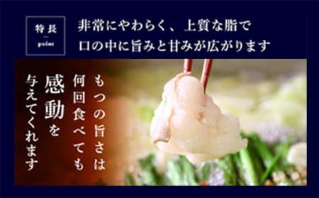 もつ鍋 セット 2～3人前 塩とんこつ 【陽はまたのぼる】