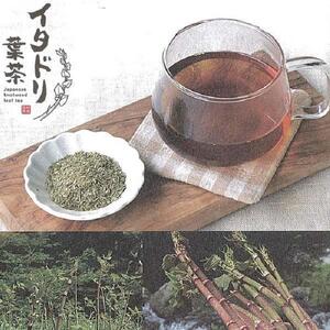 イタドリ葉茶 約48g (約4g×12包) ティーバッグ お茶 いたどり 春の山菜 山菜の里 高知 土佐 【グレイジア株式会社】 [ATAC517]