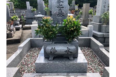 お墓 清掃 代行 メンテナンス 1回 雑草 除去 除草 草むしり 献香 献花 お花 徳島県 お盆