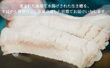 ハモしゃぶ セット 500g 小松島産 鱧 ハモ