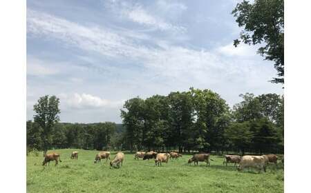 森林ノ牧場 ミルクバー 10本（ソフトクリーム無料券付き）| アイス 牛乳 ジャージー牛 無添加 スイーツ デザート お菓子 おかし セット 冷凍 栃木県 那須町 〔P-415〕