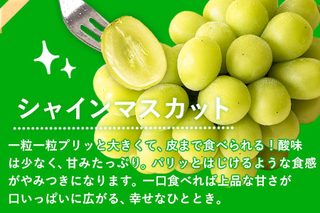 秀品 ピオーネ&シャインマスカット 約1.2kg