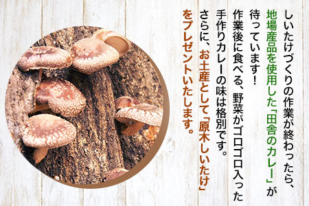 原木しいたけづくり体験チケット(昼食付) 1名様