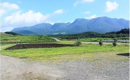 大分県久住高原産 『手摘みブルーベリー』 冷凍ブルーベリー 1kg 【2025年7月下旬より順次発送開始予定】
