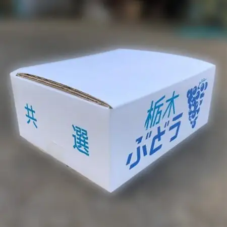 栃木県小山市産シャインマスカット約2.0kg(3～4房)【配送不可地域：離島】【1297371】