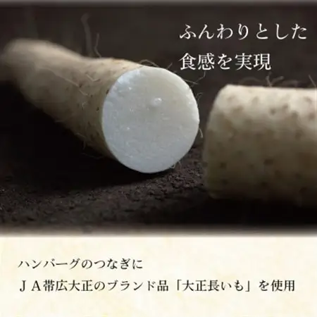 国産牛タンハンバーグ(大正長いも入)180g×5枚入_肉 ハンバーグ 牛肉 _【配送不可地域：離島】【1306794】