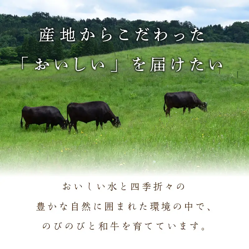 【京都モリタ屋専用牧場】牛肉 スネ・肩肉など 約500ｇ 3~4cm角カット