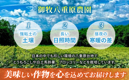 【先行受付2026年発送】野菜ソムリエサミット金賞受賞！東御市産とうもろこし（ピュアホワイト・ゴールドラッシュ）約3.2kg（7～10本）｜スイートコーン ※2026年7月上旬～9月上旬に順次発送予定※着日指定不可