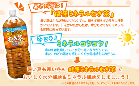 『定期便：全6回』健康ミネラル麦茶2L×6本×2箱【500006】