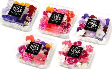 エディブルフラワー 生花MIX（20輪入り）5種5パックセット 【食べられるお花 栽培期間中 農薬不使用】