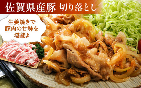 【全12回定期便】ミンチ付き！三栄のデイリーセット HAA094 ミンチ 国産 和牛 佐賀牛