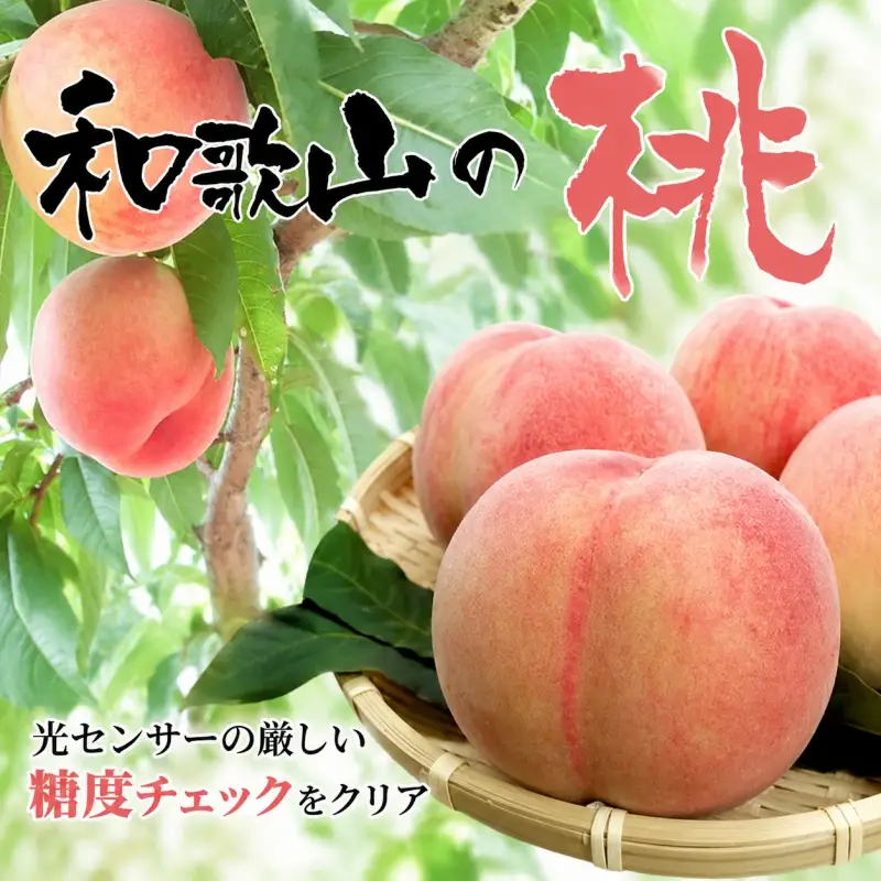 和歌山の桃 秀品 [約3.8～4kg] (サイズ・品種おまかせ) ※2026年6月中旬～2026年8月中旬頃に順次発送予定　紀伊国屋文左衛門本舗 和歌山 もも モモ 桃 果物 フルーツ 人気 産地直送 和歌山県 お取り寄せ【kztb800B】