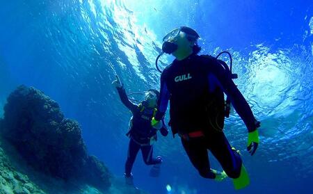 サンゴと生き物の楽園！魅力いっぱい恩納村ファンダイビング（2DIVE）1名様 