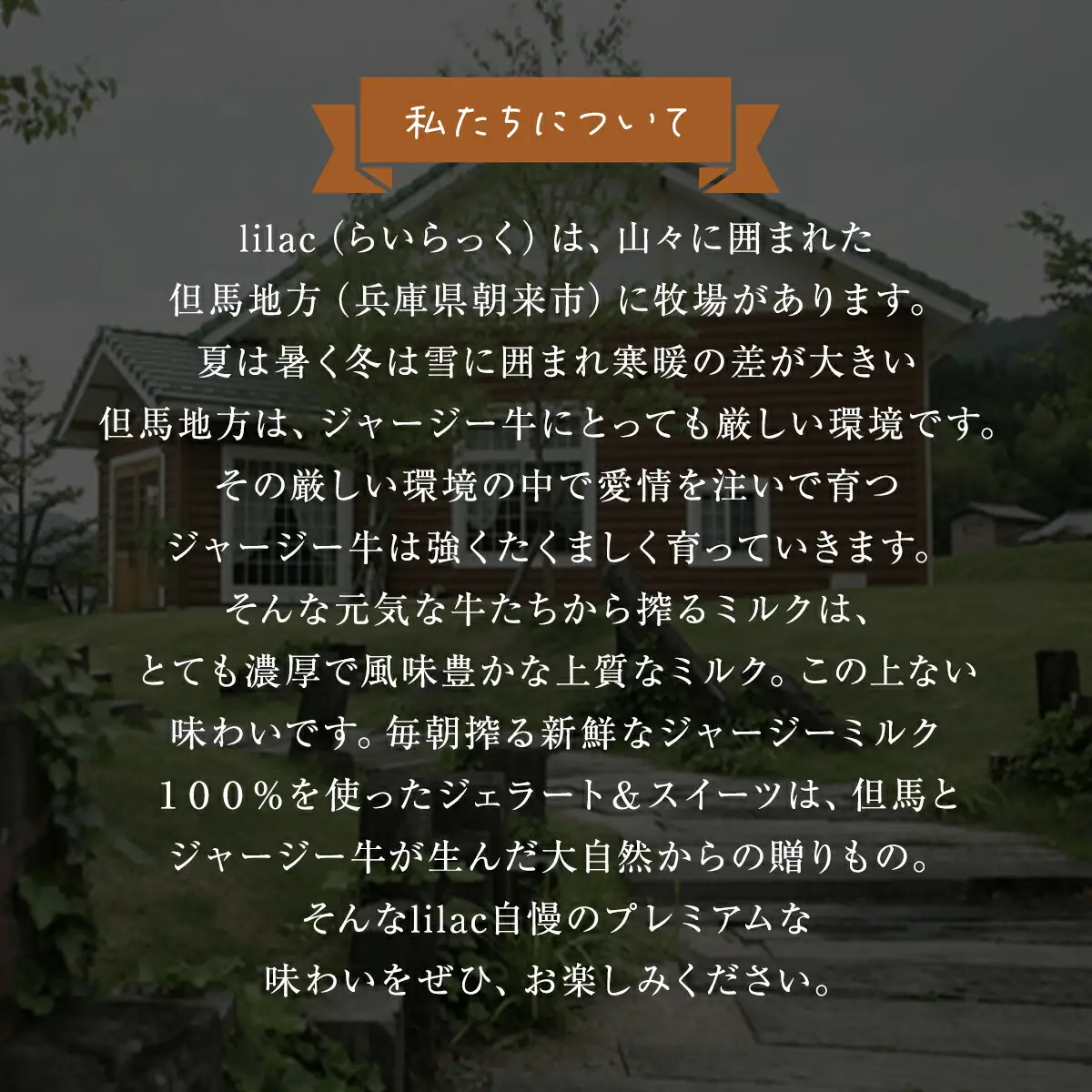 チーズケーキ【ふわふわカマン】ジャージー牧場らいらっく ケーキ スイーツ